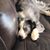 Mary Bruno Debus's profile image