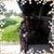 Francie Marcellus's profile image