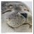 Monica Duffy's profile image