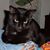 Renee Ruckman's profile image