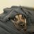 Urbin V Gonzalez's profile image