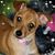 Debb Lee's profile image
