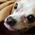 Holly Bruner's profile image