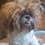 Clyde Burnley's profile image