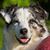 Donna Brian's profile image