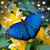 Nancy Payne's profile image
