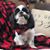 Brenda Sandborg's profile image