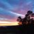 Lake Watteree's profile image