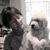 Joy Doutt-Eriksen's profile image