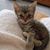 Peggy Simon's profile image