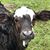 Kara Crawford's profile image