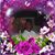 Judy Hinson's profile image