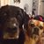 Tissy Marie Doan's profile image