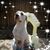 Karleen Shifflett's profile image