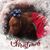 Abbey Krzeminski's profile image