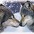 Karen Hagerty's profile image