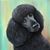 Edwina Fernandez's profile image