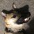 Vanessa Farrington's profile image