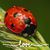 Krista Vowell Clark's profile image