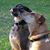 Gerry Smith's profile image