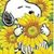Roxane Taylor's profile image