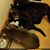 Marie Lulloff Brenner's profile image