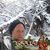 Don Breuer's profile image