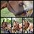 Sharon Norton's profile image