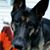 Lisa B. Martorana's profile image