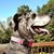 Tammy Baumgardner Ammons's profile image