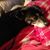 Darlene Puricelli-Romines Stuples's profile image