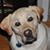 John Ott's profile image