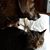 Dawn Colvin Ellis's profile image