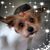 Lisa Northup's profile image