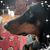 Gerit Bracklow Martino's profile image