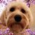 Cathie O'Malley's profile image