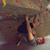 Ryan Lottinger's profile image