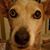 Connie Tisdale's profile image