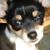 Tracey Marttila's profile image