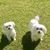 Angela Stewart Sessoms's profile image