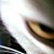 Dean Jennings's profile image