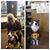 Marlene Holden's profile image