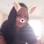 Michele Cardello's profile image