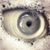 Eddie Junior's profile image
