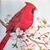 Victoria Morey's profile image