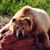 Barb Bunney's profile image