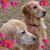 Debbie Tomaselli Rosa's profile image
