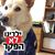 יהודית מוראלס's profile image