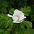 Eileen Charette's profile image