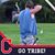 Dave Davison's profile image